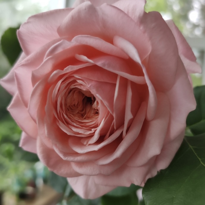 Квинси Джонс в Нижнем Новгороде